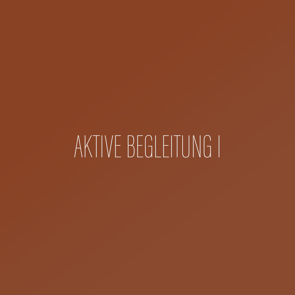 Aktive Begleitung I