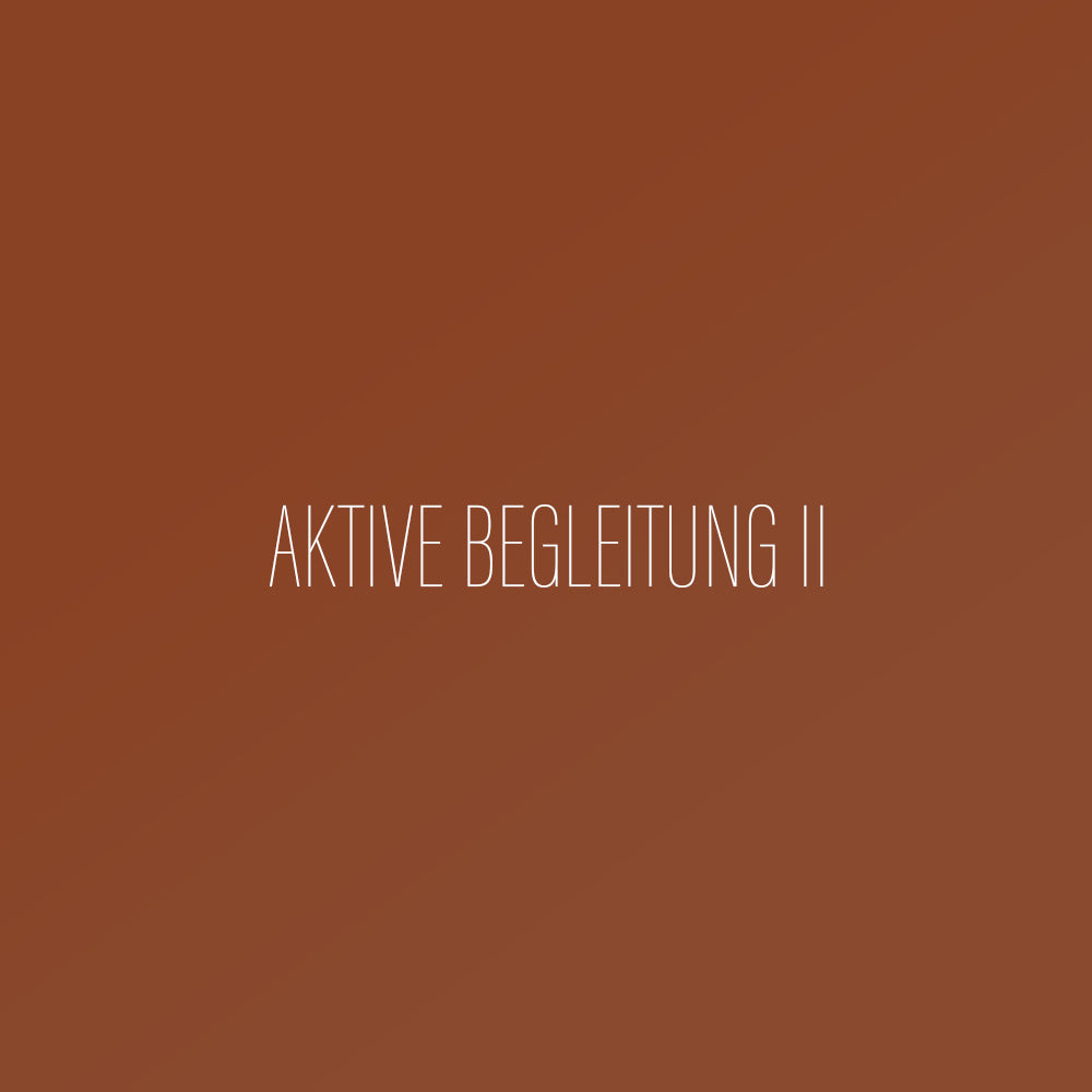 Aktive begleitung II