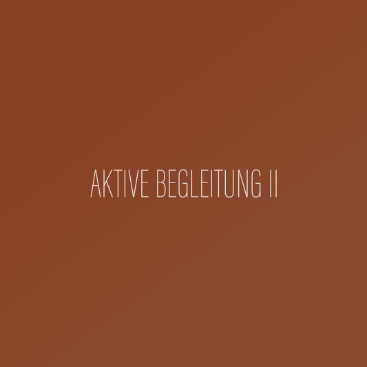 Aktive begleitung II